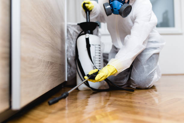 Pest Control for Restaurants in Sea Ranch, CA