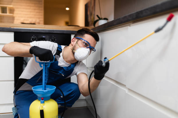 Best Best Pest Control Companies  in Sea Ranch, CA