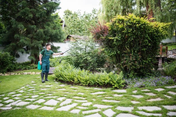 Best Local Pest Control Services  in Sea Ranch, CA